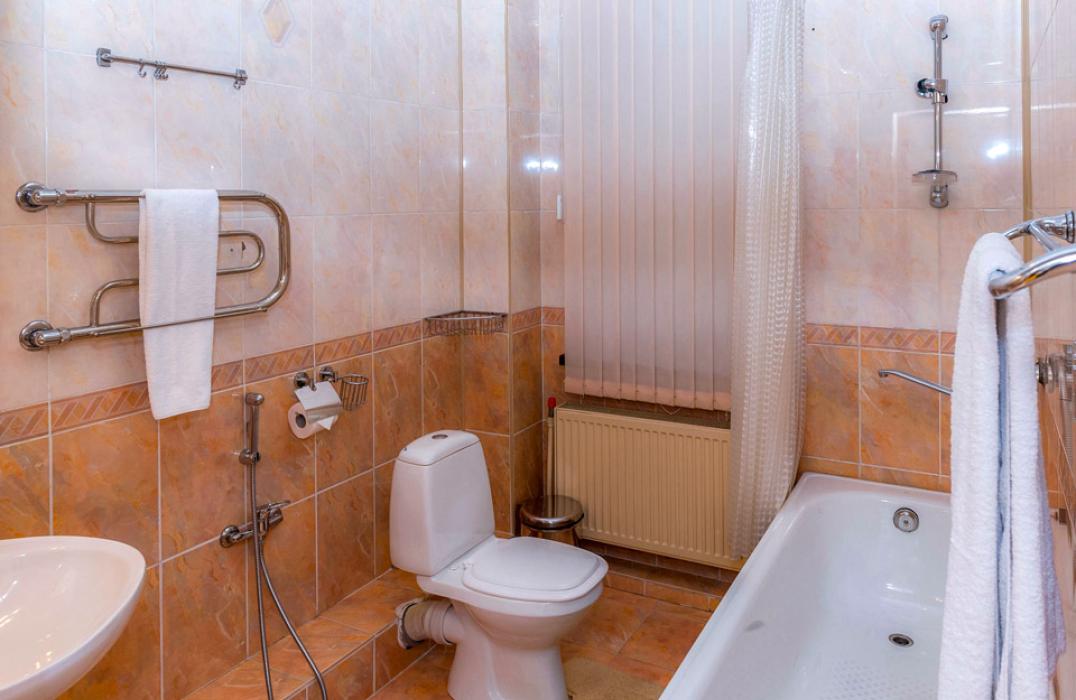 Совмещенный санузел в 6 местном 5 комнатном 2 этажном, Коттедже №2 санатория Валуево в Москве