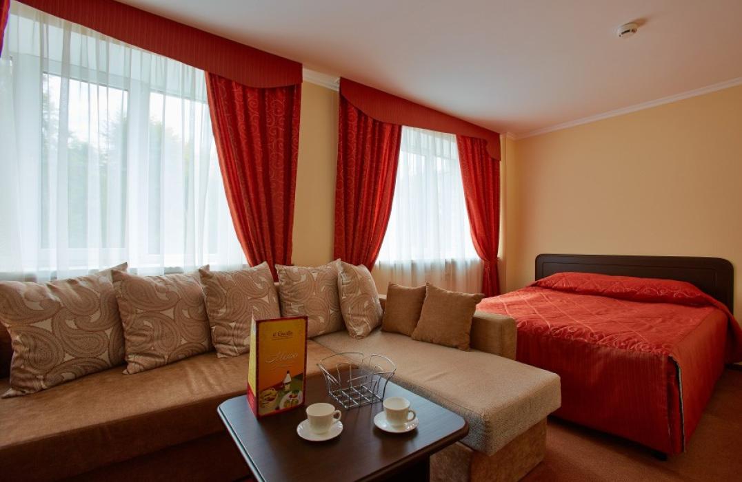 Гостиница Пятигорск, номер 2 местный 1 комнатный Полулюкс (двуспальная кровать), фото 1