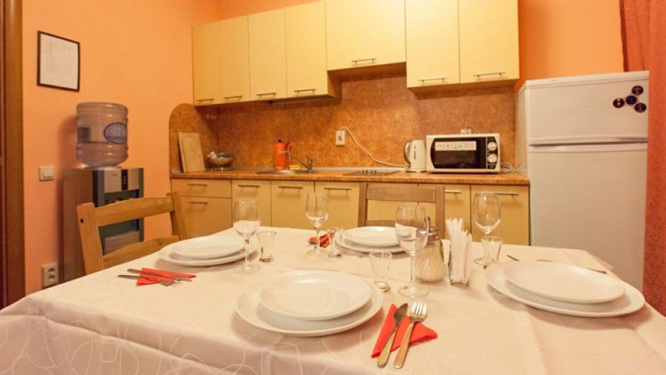 Кухонная зона в 2 местном, 1 комнатном номере Апартаменты базы отдыха Домик Охотника в Ленинградской области