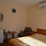 2 местный 1 комнатный Стандарт без балкона Корпус А в отеле Патио в Анапе фото 3
