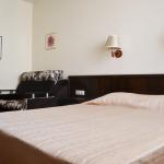 Стандарт 3 местный 1 комнатный (28-33 м²) в отеле Лотос в Анапе фото 2